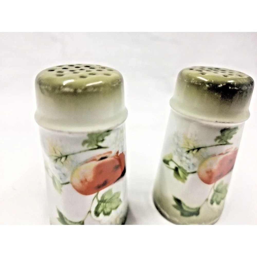Vintage Favorite Bavaria porcelain‎ Hand Painted signed Salt and Pepper Shakers